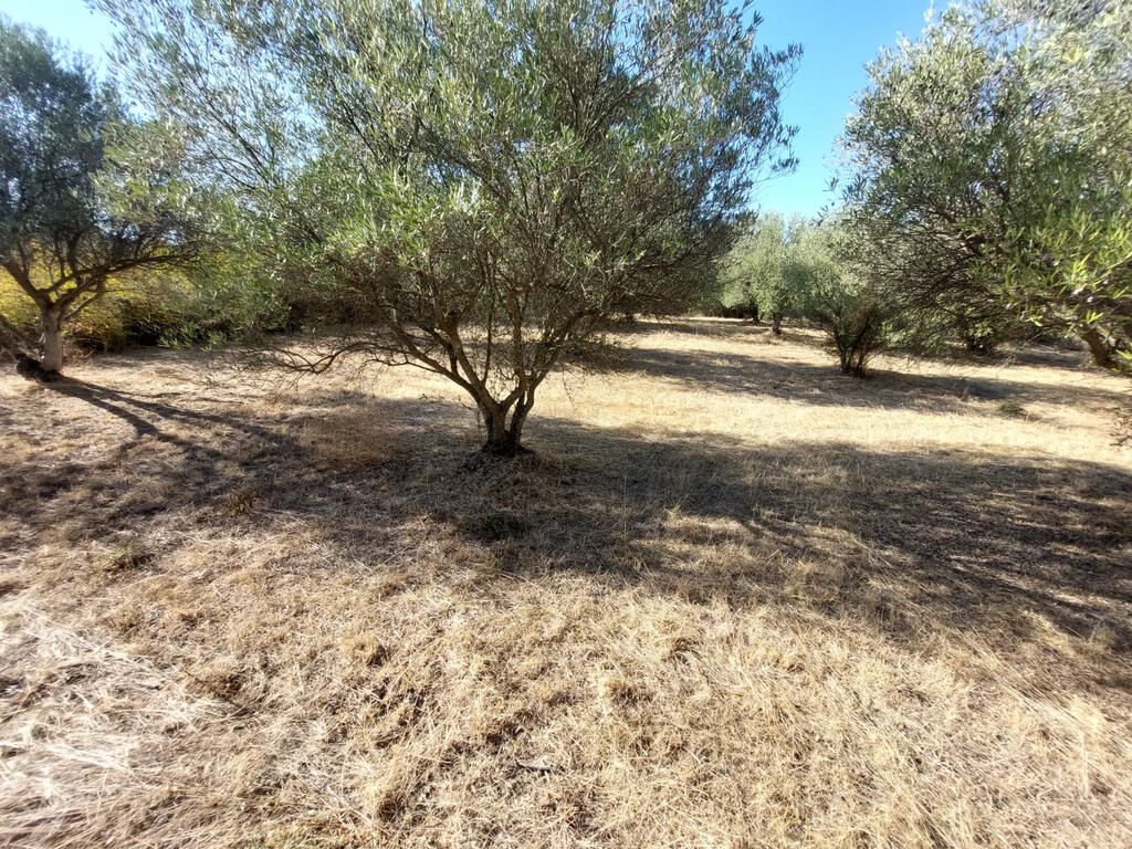 Land 1 room  Peristera, Greece