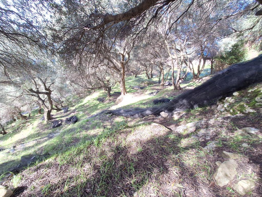 Atterrir 1 chambre  Pendáti;Pentáti, Grèce