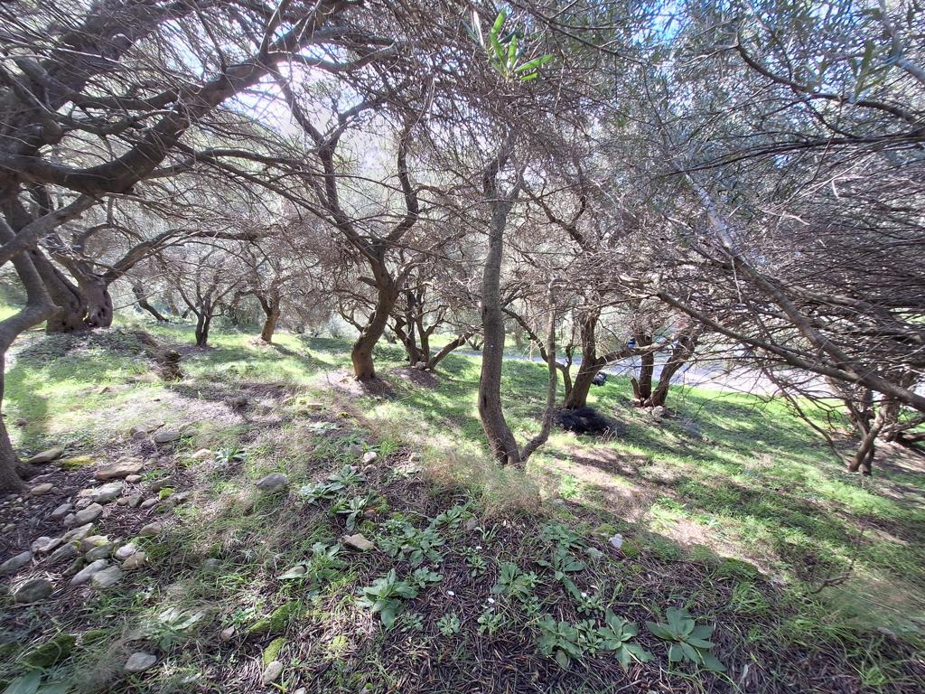 Atterrir 1 chambre  Pendáti;Pentáti, Grèce