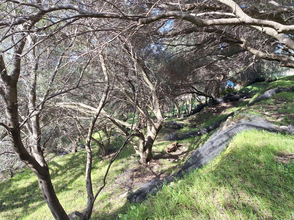 Atterrir 1 chambre  Pendáti;Pentáti, Grèce