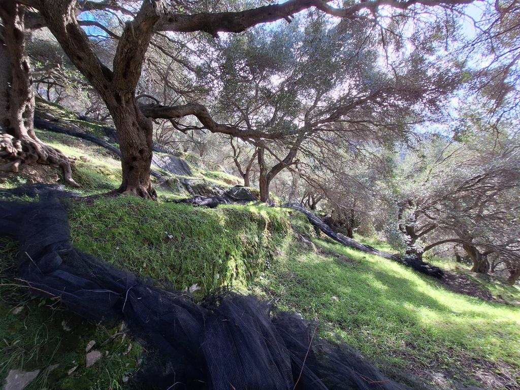 Atterrir 1 chambre  Pendáti;Pentáti, Grèce