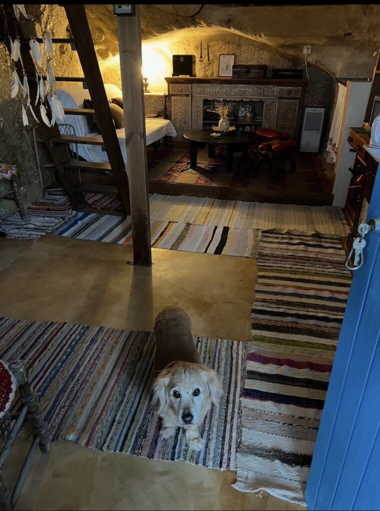 Dom wolnostojący 1 pokój 33 m² Municipality of Festos, Grecja