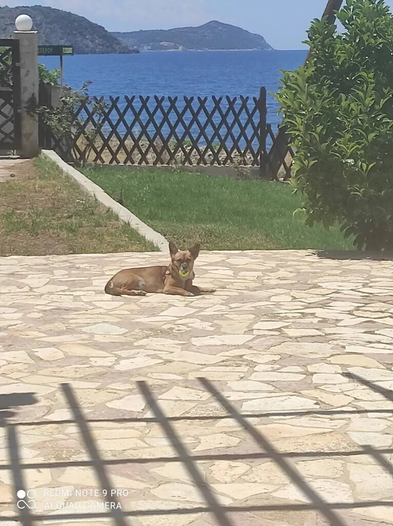 Chalet 8 chambres 230 m² Loutraki Perachora Agioi Theodoroi Municipality, Grèce