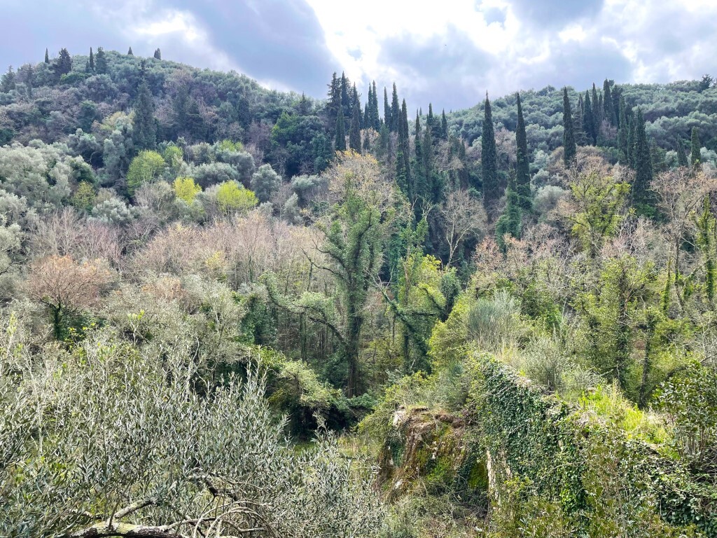 Land 1 room  Sfakera, Greece