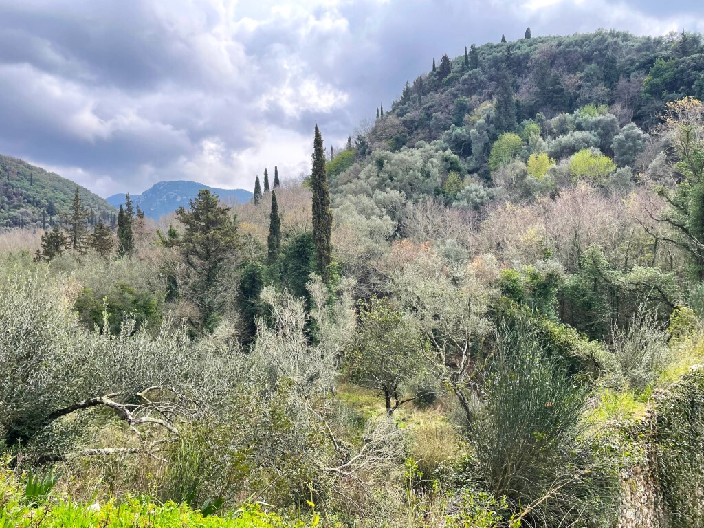 Land 1 room  Sfakera, Greece