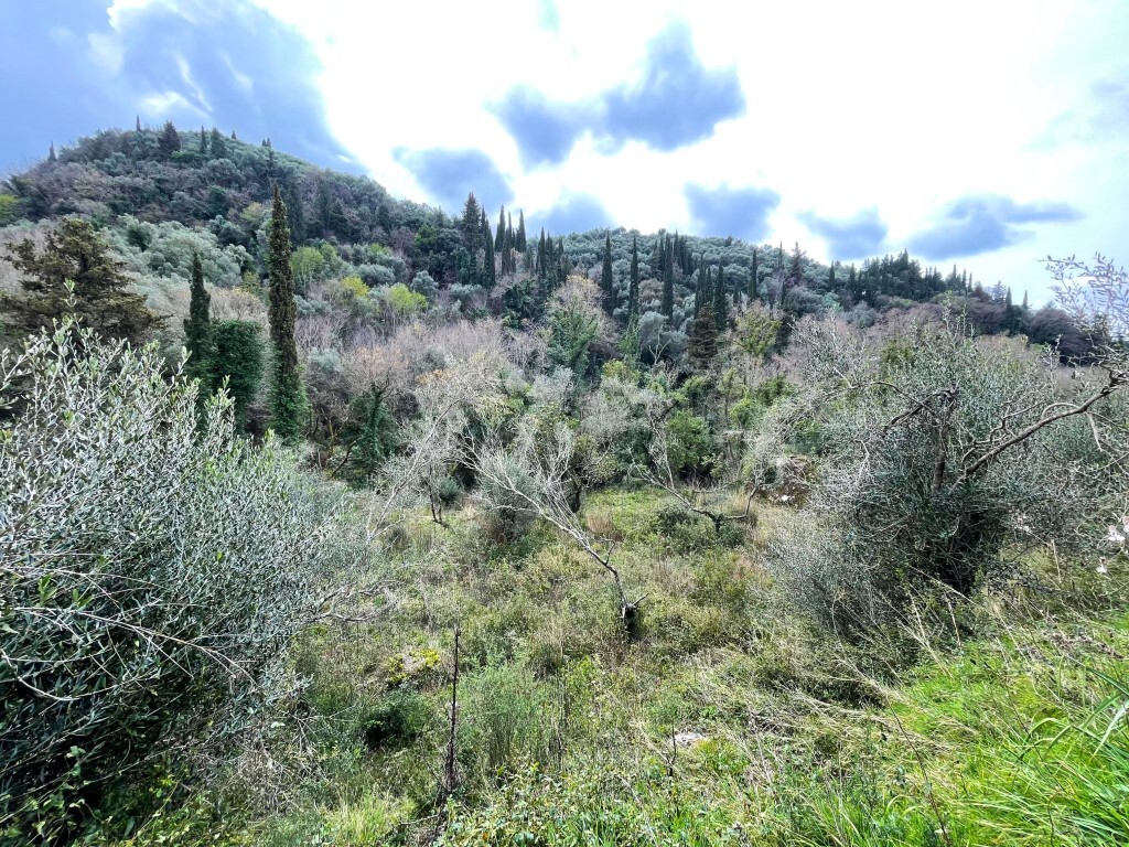 Land 1 room  Sfakera, Greece