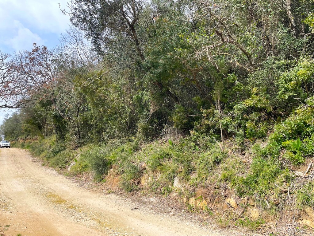 Land 1 room  Sfakera, Greece