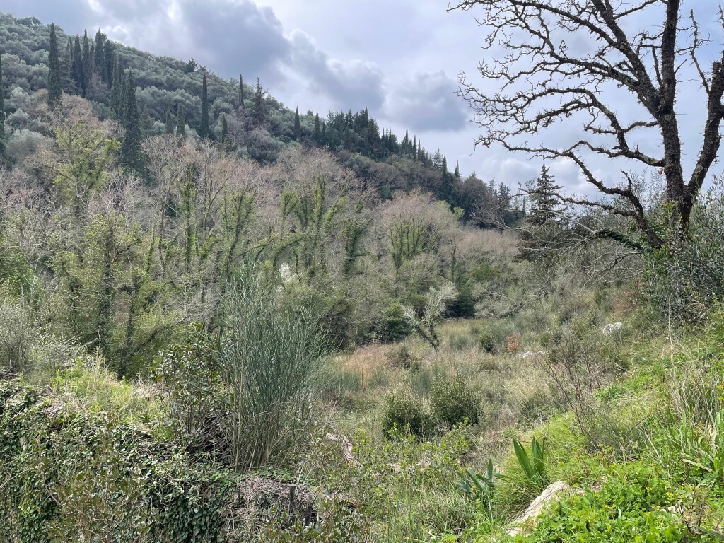 Land 1 room  Sfakera, Greece