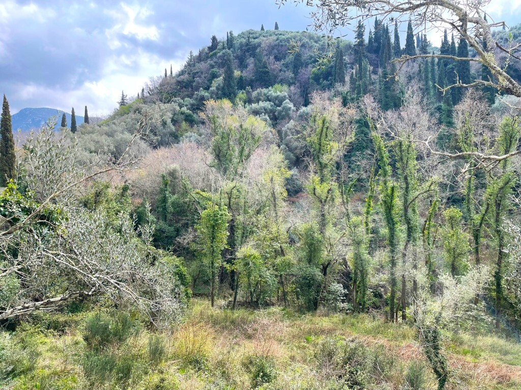 Land 1 room  Sfakera, Greece