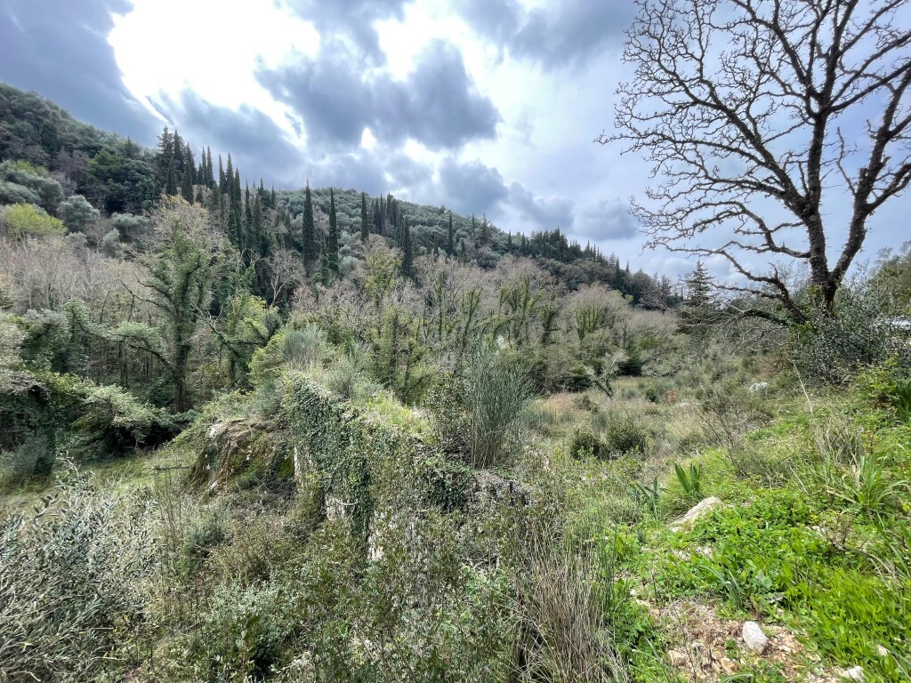 Land 1 room  Sfakera, Greece