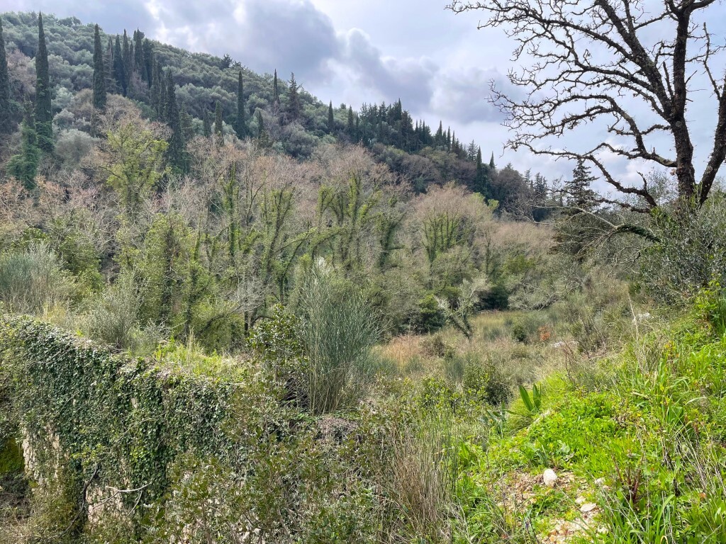 Land 1 room  Sfakera, Greece